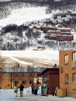 ugl på abisko turiststation på vintern